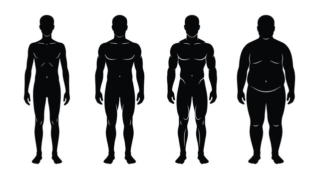 Silhouettes of men with different body types