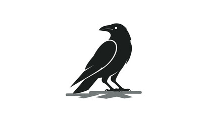 Fototapeta premium Bold black vector silhouette of a crow or raven perched on a branch, looking back on a white background.