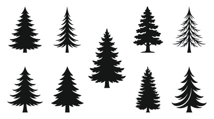 Obraz premium Evergreen tree silhouettes collection