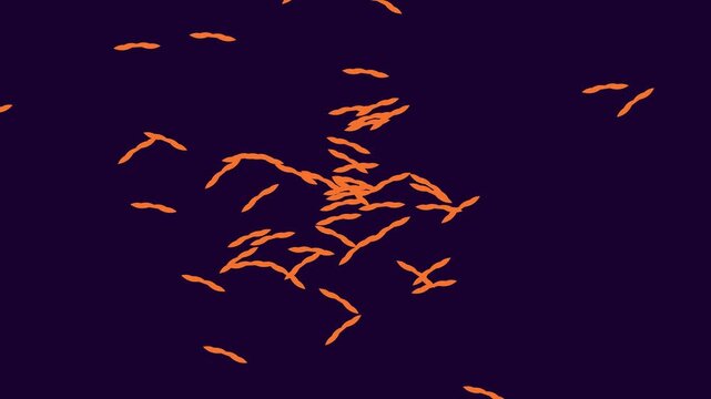 Microscopic bacteria swarm animation: orange pathogens moving on dark 4k background, virus biology
