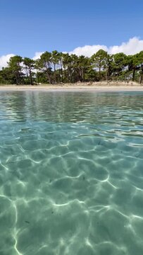 Corsica island France turquoise sea water surface and white sand beach beautiful coast uncontaminated nature near Bastia in Corsica island