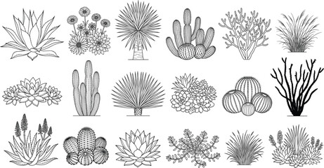 Landscape architecture desert plants and cactus side view symbols outline vector line art templates © IconicCreations