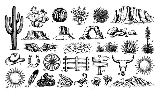 Wild West Desert Sketch Vector Collection with Arizona Cactus Rocks Mountains and Hand Drawn Landscape Elements