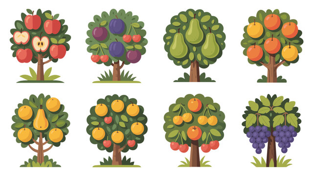 Diverse collection of eight illustrated fruit trees including apples, pears, cherries, oranges, and grapes for garden design concepts.