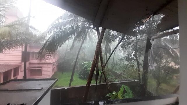 Heavy Tropical Rain Falling Over Coconut Palm Trees and Residential House with Natural Rain Sound