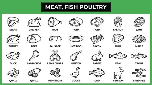 Meat fish and poultry types infographic