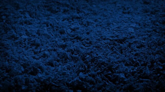 Wood Chippings Cover Floor In Dark Room