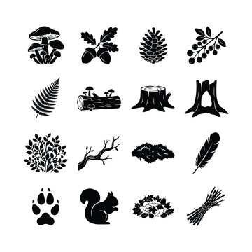 Forest elements icons set isolated on white background, nature elements