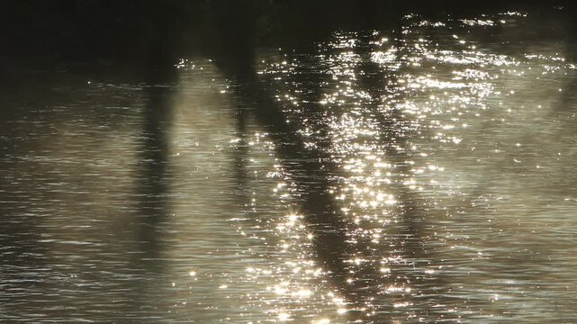 Reflections of sunlight on the river surface