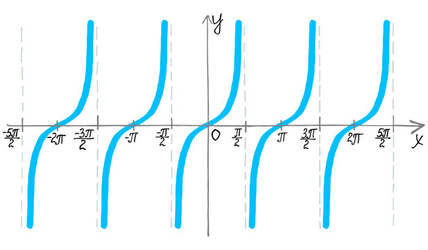 Minimalist vector graph of tangent function wave on a transparent background. Light blue curves of tan x plot grow upwards between grey asymptotes