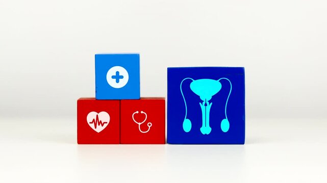 The doctor's hand displays a cube with the icon of the male reproductive system. Raising awareness about sexual health and preventing erectile dysfunction and fertility disorders.