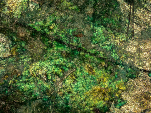 Microscopic texture of verdigris corrosion on a Swiss franc coin under microscope