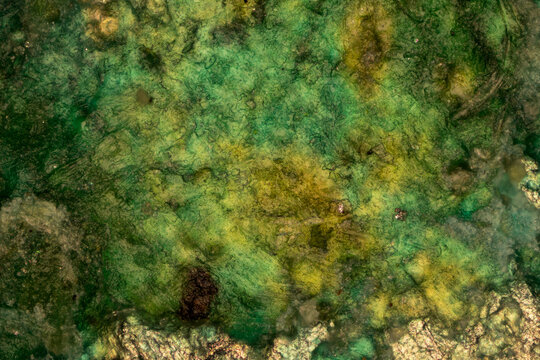 Verdigris corrosion texture under the microscope