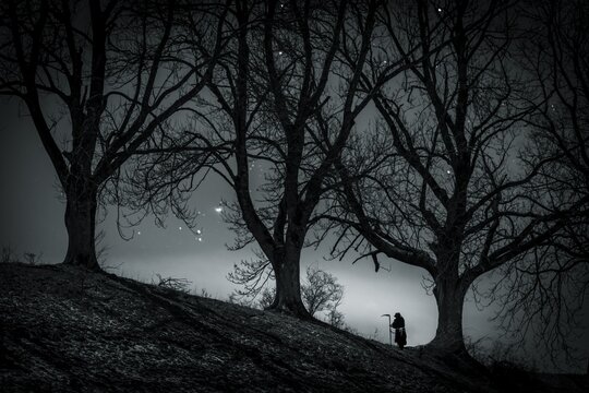 Man with scythe under tree with starry sky, Oberg&uuml;nzburg, Ostallg&auml;u, Bavaria, Germany