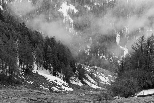 Wooded steep slope with snow remains and alpine huts, black and white photograph, near Chandolin, Val d'Anniviers, Valais Alps, Canton Valais, Switzerland
