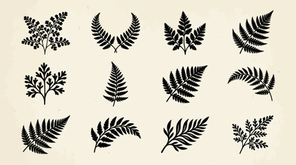 Collection of fern leaf silhouettes © Zero