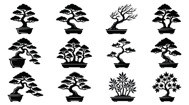 Collection of bonsai trees silhouettes