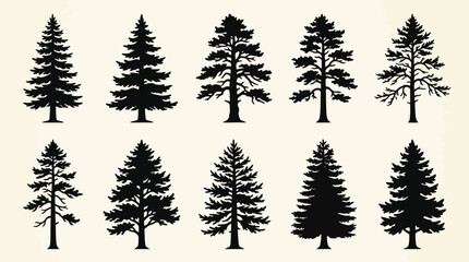 Fototapeta premium Collection of pine tree silhouettes
