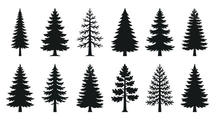 Obraz premium Collection of pine tree silhouettes