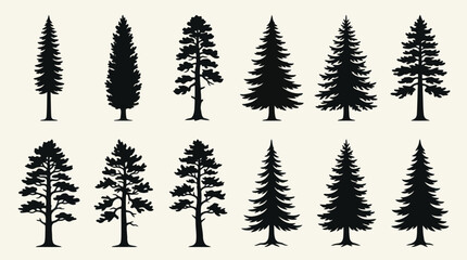 Obraz premium Collection of tree silhouettes