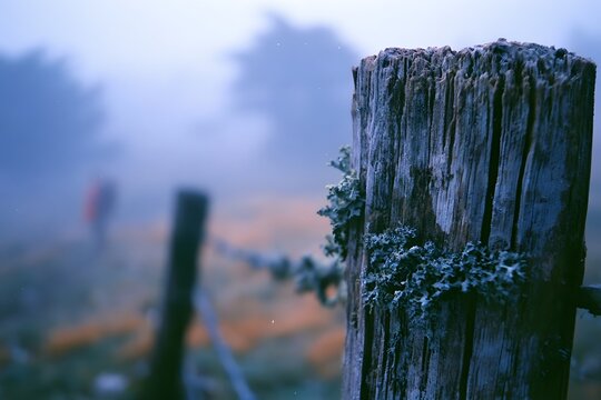 Textured fence wood against a misty blue hour landscape