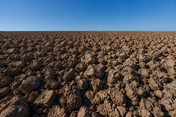Fototapeta premium Ploughed field completely devoid of moisture dirt clods baked into hard rock lumps