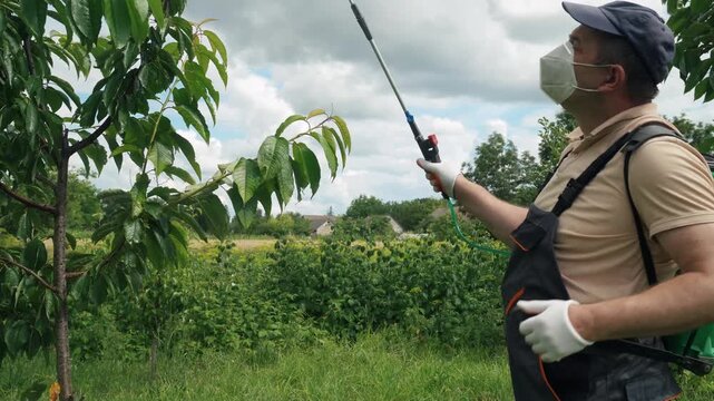 Man gardener in protective gear sprays pesticide on fruit tree in a lush garden, surrounded by greenery and a cloudy sky in the background