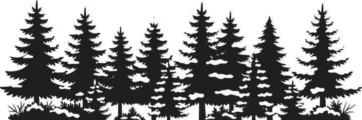Black and white forest with tall pine trees © MH Mehedi