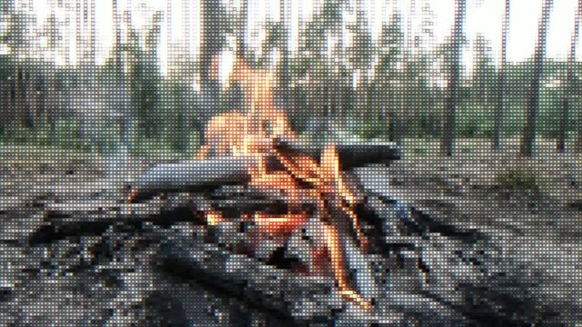 Pixel fire in the forest.