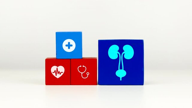 The doctor's hand displays a cube with the icon of the female urinary system. This raises awareness about kidney health and the prevention of recurrent urinary tract infections and stress incontinence