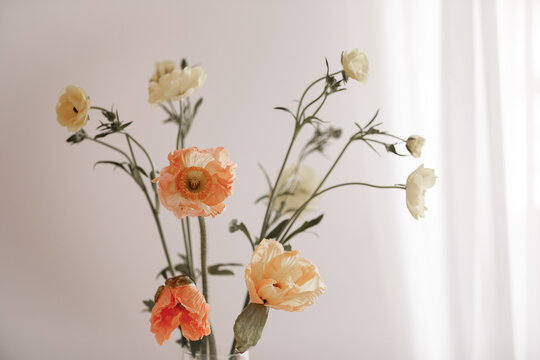 Peach Poppy and Cream Ranunculus Spring Bouquet Light Background