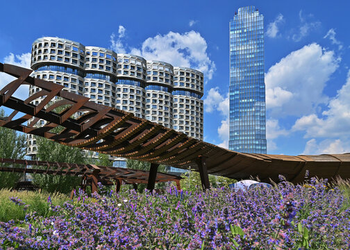 Tyufeleva Roshcha city park in Moscow. Corten steel pergola. Zilart residential complex in the background. Blooming lavender in the foreground.