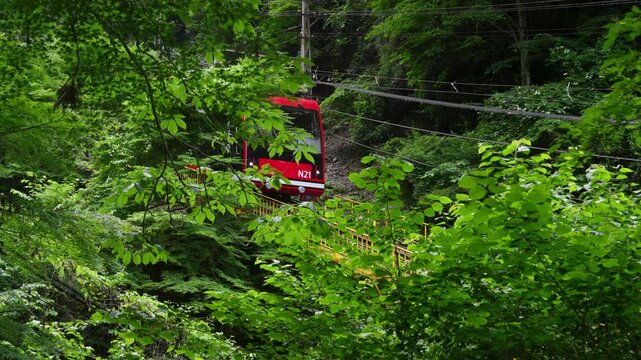 Koyasan Cable Car Descending from Koyasan, Wakayama Japan　「高野山から下りてくるケーブルカー」和歌山県高野町