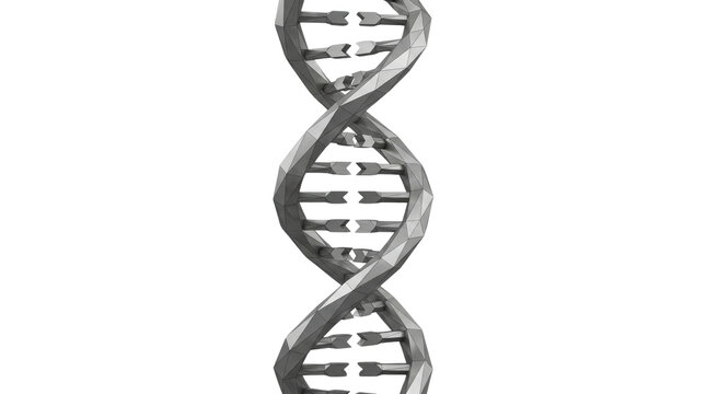 Detailed Helix Structure of DNA Molecule.