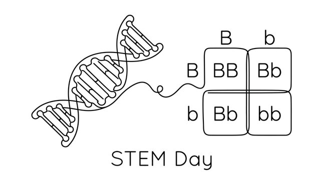 Continuous line drawing of DNA helix and Punnett square for STEM Day.