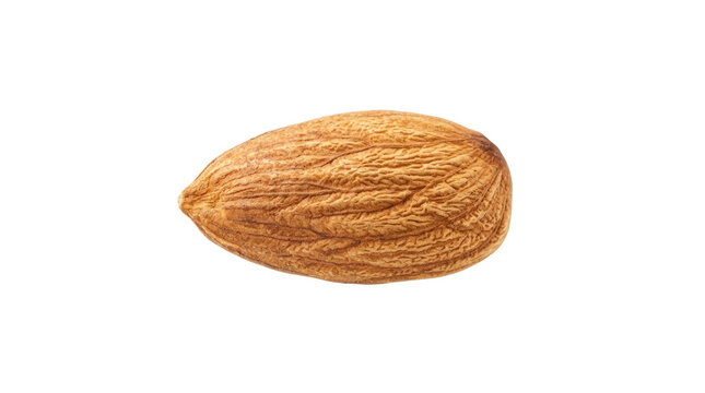 Single almond nut isolated on white background.