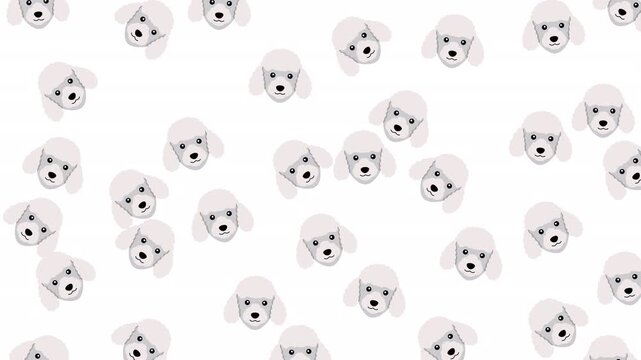 Multiple cute white poodle dog head illustrations perfect for dog lovers, pet care businesses, pet stores, and animalthemed designs.