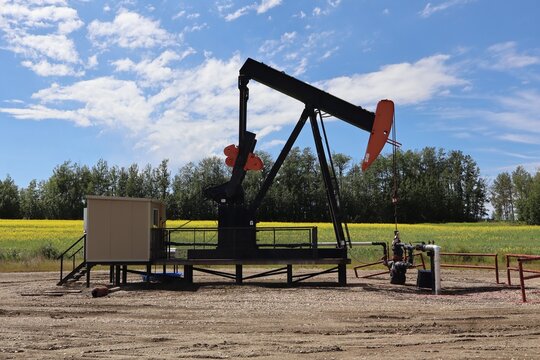 an oil pumpjack &mdash; the classic &ldquo;nodding donkey&rdquo; you see across rural Alberta. The black-and-orange pumpjack is the main lifting mechanism. The surrounding yellow flowering plants are like canola