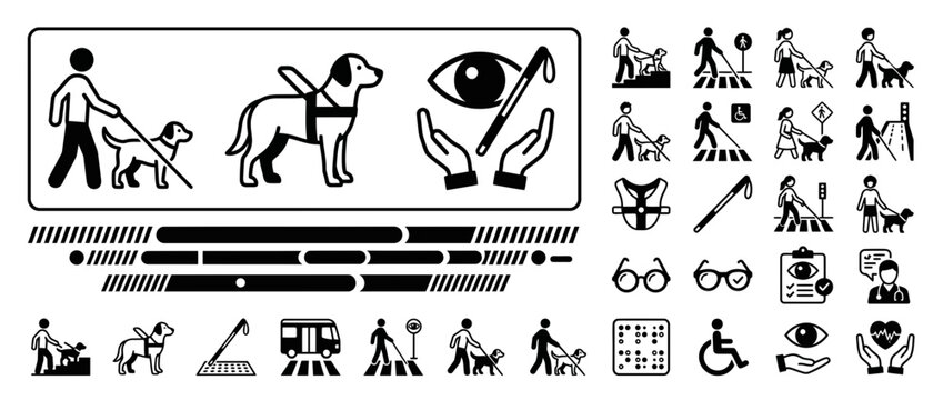 Disability Aids: Guide Dog, Cane, Braille, Wheelchair, Vision Icons