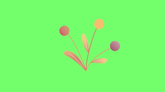 Cartoon style budding plant animation with colorful round shapes swaying on a green screen background. Great for spring illustrations, eco-themed videos, or aesthetic video decorations
