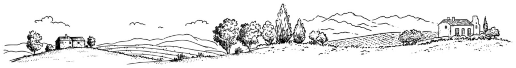 Obraz premium Rural landscape with hills vineyards and farm houses in hand drawn sketch style