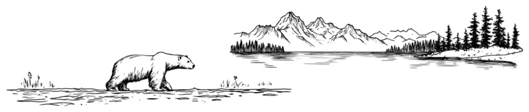 Polar bear walking along a lake with mountains and forest in hand drawn sketch style
