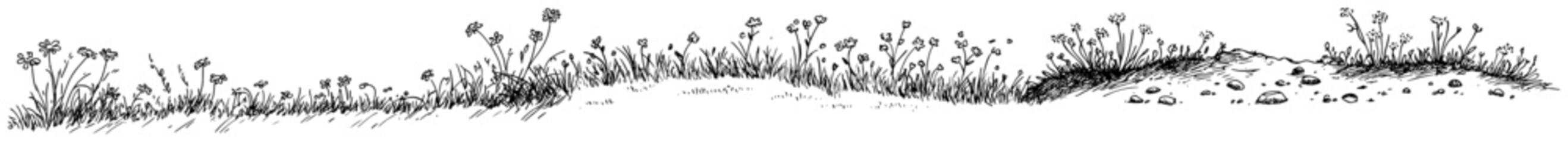 Obraz premium Wildflower meadow with grass and small hills hand drawn sketch style
