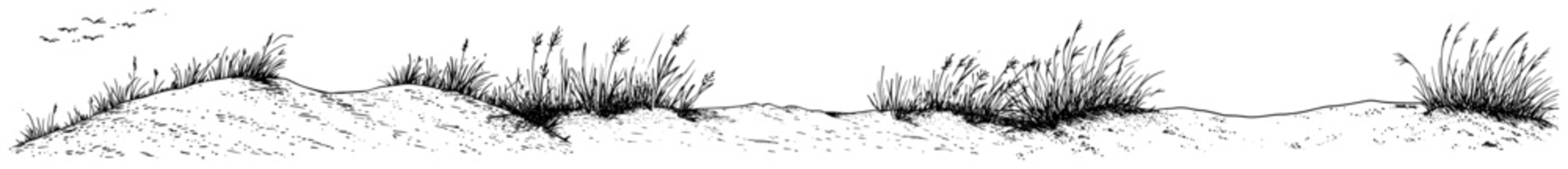 Coastal sand dunes panoramic landscape with wild grass hand drawn engraving style