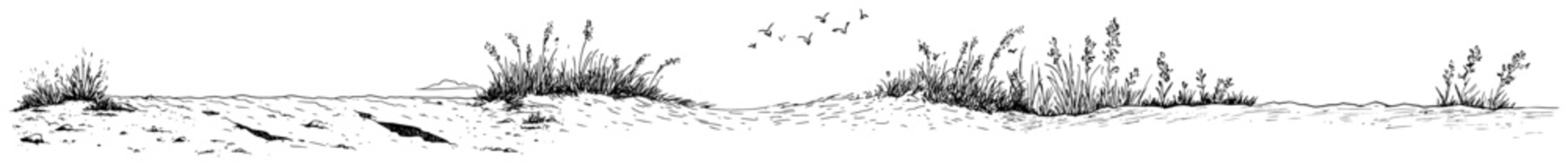 Sand dunes and beach grass at seaside landscape sketchy line art style