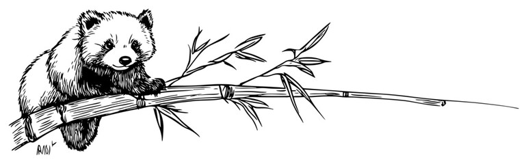 Giant panda cub sitting on a bamboo branch with leaves in hand drawn sketch style © Kaz