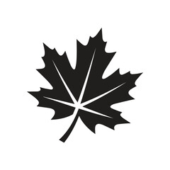 Fototapeta premium Black maple leaf silhouette with geometric veins silhouette botanical