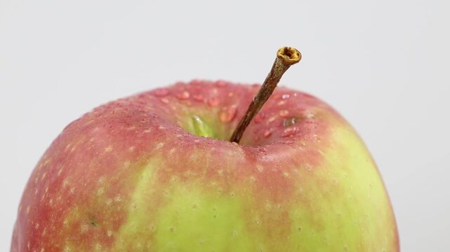 A ripe apple on a white background.