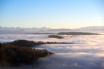 Fototapeta premium Rural landscape with woodland and sea of fog with Swiss Alps in the background at local mountain Uetliberg on an autumn sunset. Photo taken December 13th, 2025, Zurich Uetliberg, Switzerland.