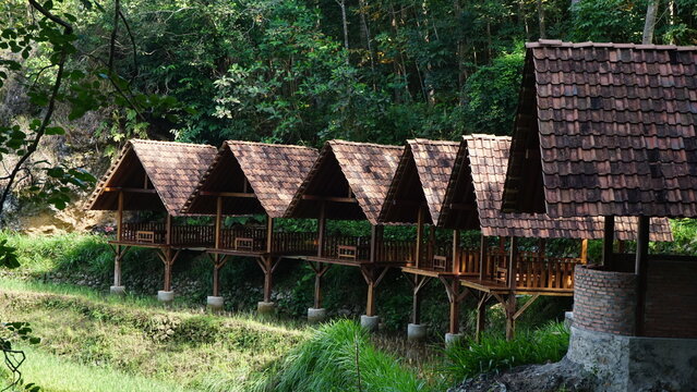 A simple wooden stilt house on the edge of the forest, situated above terraced rice fields.